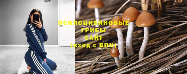 mix Алексин