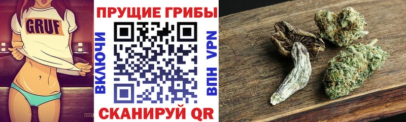 Галлюциногенные грибы Magic Shrooms  Осташков 